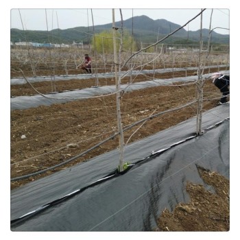 防草布價格,哈爾濱