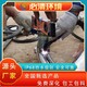 噴泉圖