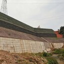 廊坊堤壩抗沖刷植生袋