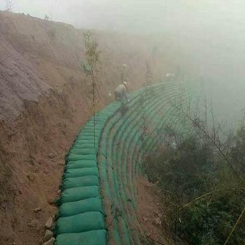 九江鱼池防护护坡植生袋