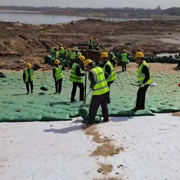 东丽框架梁固土绿化植生袋