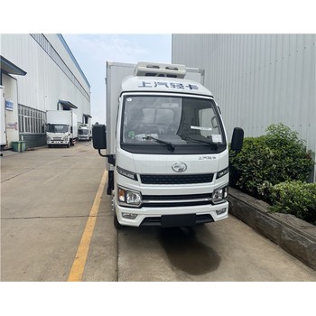廣東揭陽4.2米電動冷藏車可以拉幾噸