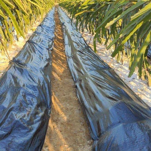 呼倫貝爾pe防草布,防草布每平米價格