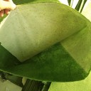 灌溉溝渠護坡生態(tài)袋型號齊全聚丙烯生態(tài)袋寧河排水溝防護生態(tài)袋