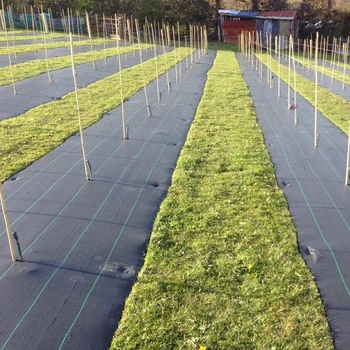 黑色pe防草布批發(fā)除草園藝地布抑草透氣滲水