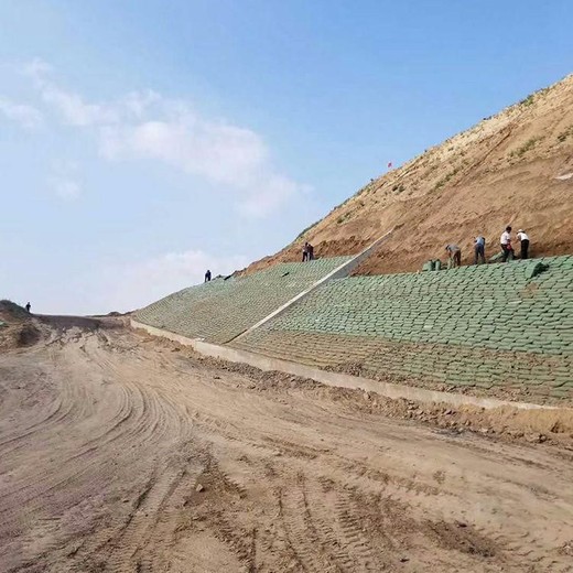 杭州高速路边坡绿化植生袋