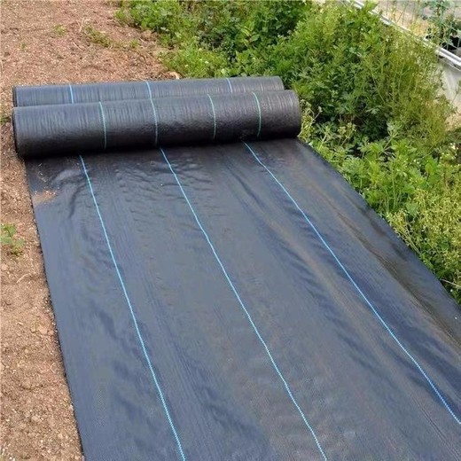 青海材料防草布批發(fā)除草布1畝價格苗圃pp編織除草布