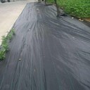 PP蓋草布90克育苗防草地布河南