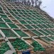 臨汾植生袋各種規格聚丙烯生態袋荒山綠化植生袋廠家直發