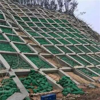 宝山河道护坡植生袋