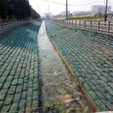 常州魚塘護坡植生袋
