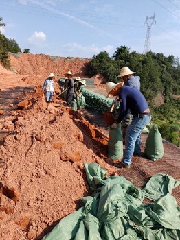 房山堤坝抗冲刷植生袋