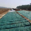 臨汾植生袋各種規格土工布袋格構梁綠化植生袋源頭廠家