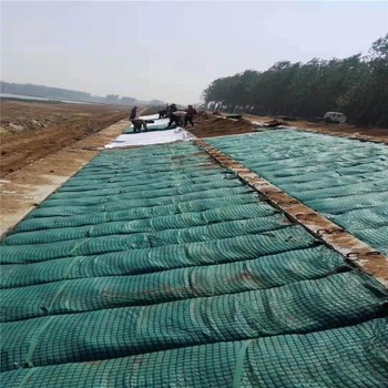 臨汾植生袋各種規(guī)格土工布袋格構(gòu)梁綠化植生袋源頭廠家