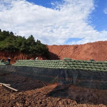 长治鱼池防护护坡植生袋