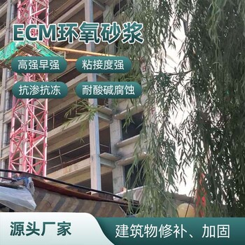 隴南耐腐蝕環氧修補砂漿價格