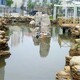 高密市疊水假山護岸圖