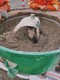 巴中快干水泥搶修料廠家圖
