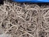 重慶城口尋找中藥材種植合作基地