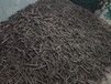 重慶秀山合作中藥材種植合作基地