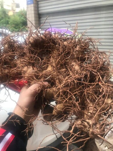 北京購買中藥材求購