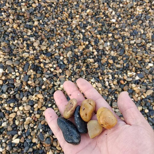 遼寧盤錦駁岸石鵝卵石鵝卵石銷售
