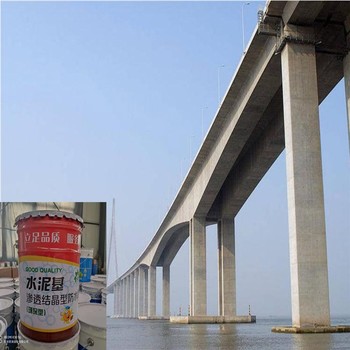 js水泥基滲透結(jié)晶型防水涂料橋梁佐涂防腐