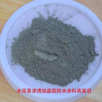 深层防渗透结晶涂料背水面佐涂防腐