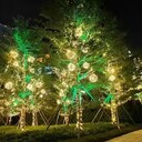 北京樓體照明園林夜景照明亮化施工北京泛光照明