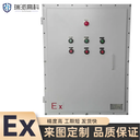 汕頭防爆配電柜瑞派防爆配電箱來(lái)圖設計-防爆認證