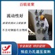 上海預(yù)應(yīng)力孔道壓漿料圖