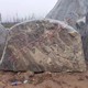 河卵石鵝卵石圖
