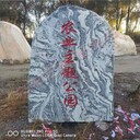 葫蘆島風景石河卵石