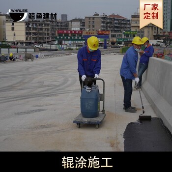 工業(yè)SLJ路橋用水性瀝青基防水涂料配件