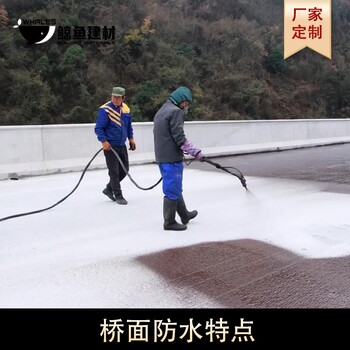 廣西SLJ路橋用水性瀝青基防水涂料代理