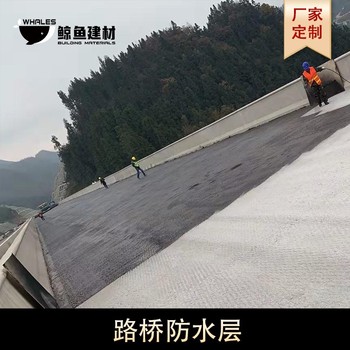 廣西SLJ路橋用水性瀝青基防水涂料代理