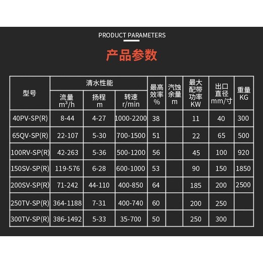 泥浆泵广东离心泵40PV-SPR液下渣浆泵