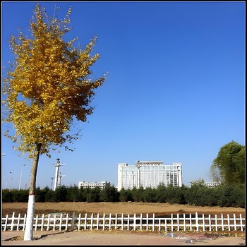 股權價值如何評估,股權價值評估,企業股權評估公司