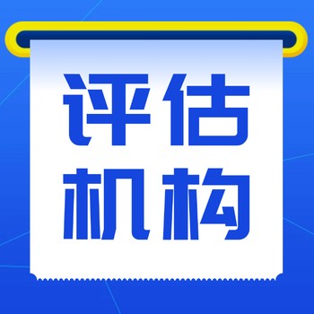 咨询服务公司评估报告-咨询评估公司