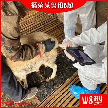 广西GDF-W8无线羊用B超,手机式无线羊用B超,多胎检测仪