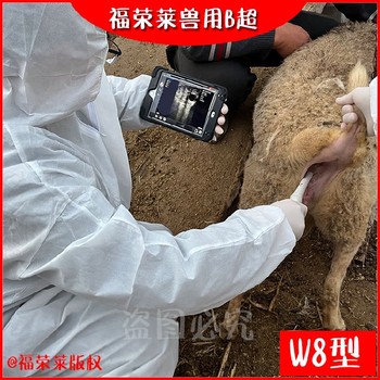 直肠式B超,无线羊用B超促销,河北GDF-W8无线羊用B超