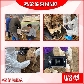 广西GDF-W8无线羊用B超,手机式无线羊用B超,多胎检测仪