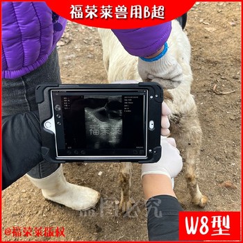 广西GDF-W8无线羊用B超,手机式无线羊用B超,多胎检测仪