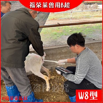 直腸式B超,無(wú)線羊用B超包郵,天津GDF-W8無(wú)線羊用B超