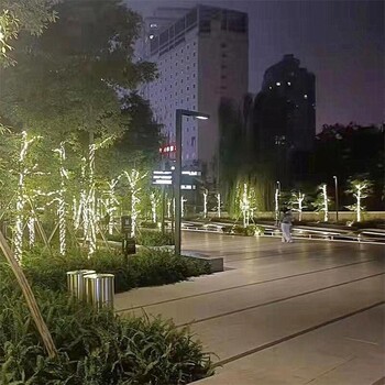 岳池縣戶外路燈,戶外公路道路燈造型定制