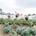 重慶戶外公園景區(qū)噴霧造景景觀霧森冷霧機免費出圖