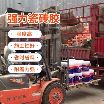 隴南外墻瓷磚膠