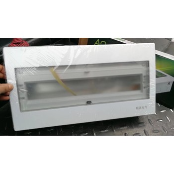 廣安普通型PZ30入戶開關(guān)箱批發(fā)