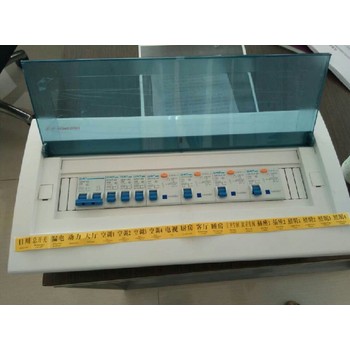 廣安普通型PZ30入戶開關(guān)箱批發(fā)
