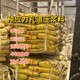 酒泉預應力孔道壓漿料圖